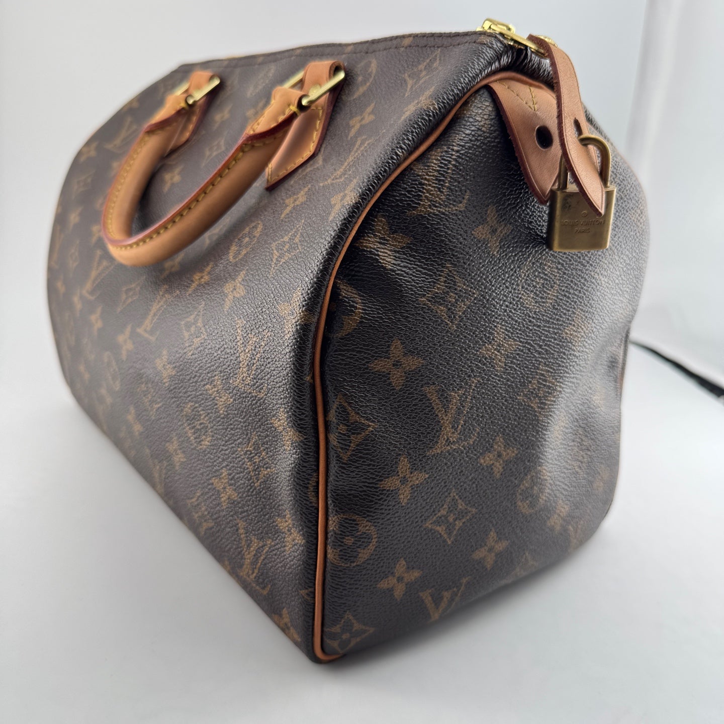 Louis Vuitton Speedy 30 Canvas M41108