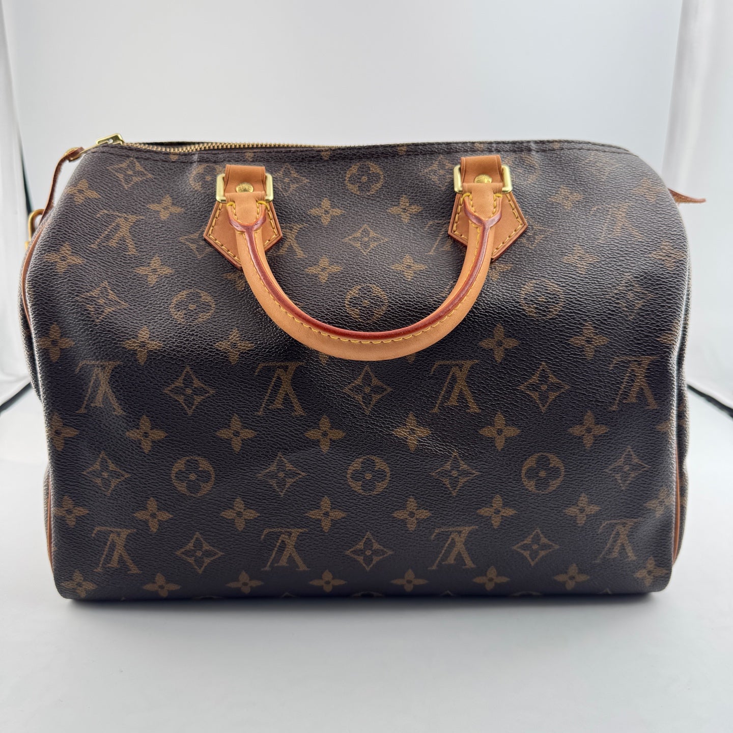 Louis Vuitton Speedy 30 Canvas M41108