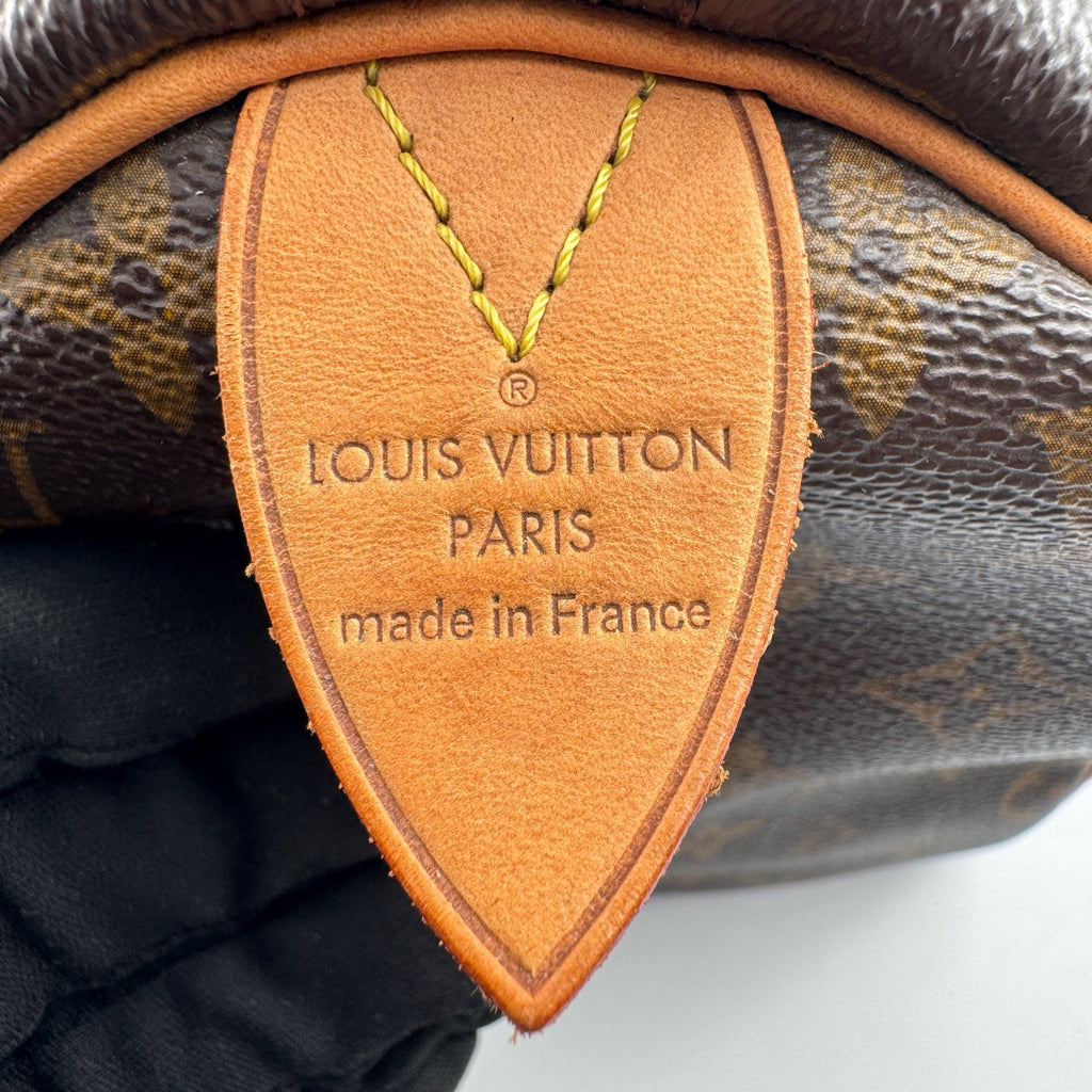 Louis Vuitton Speedy 30 Canvas M41108