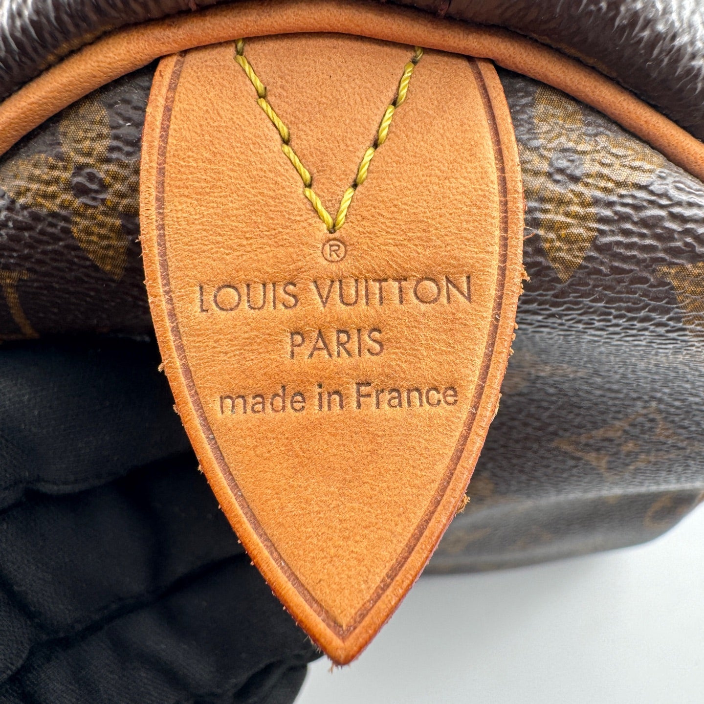 Louis Vuitton Speedy 30 Canvas M41108