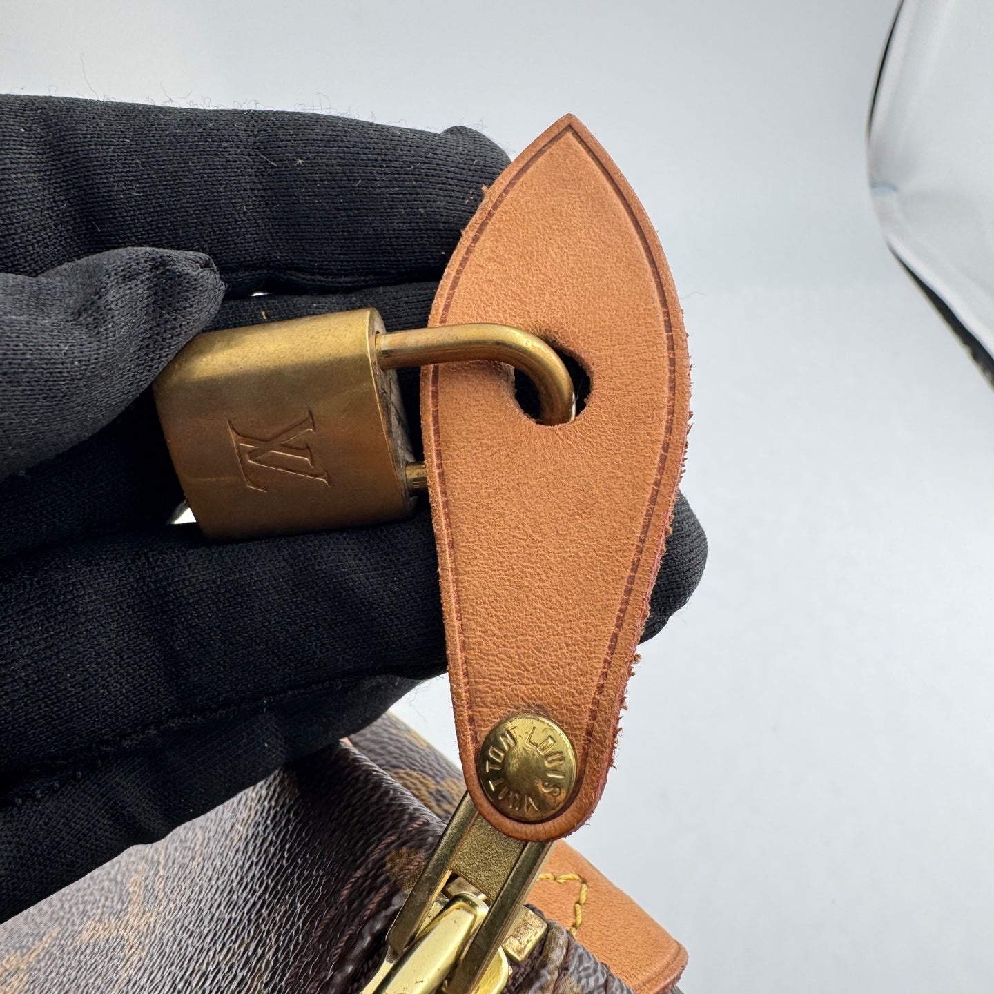 Louis Vuitton Speedy 30 Canvas M41108