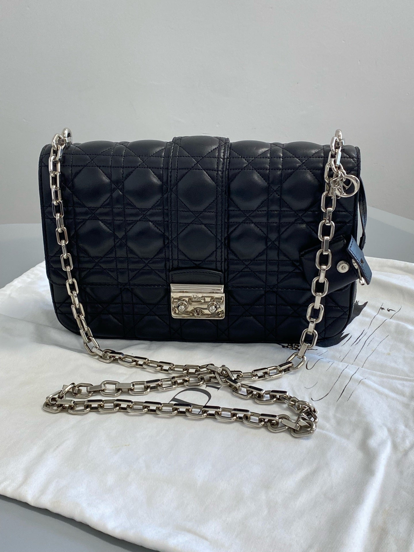 Dior Messenger Bag S0231PGAI M900
