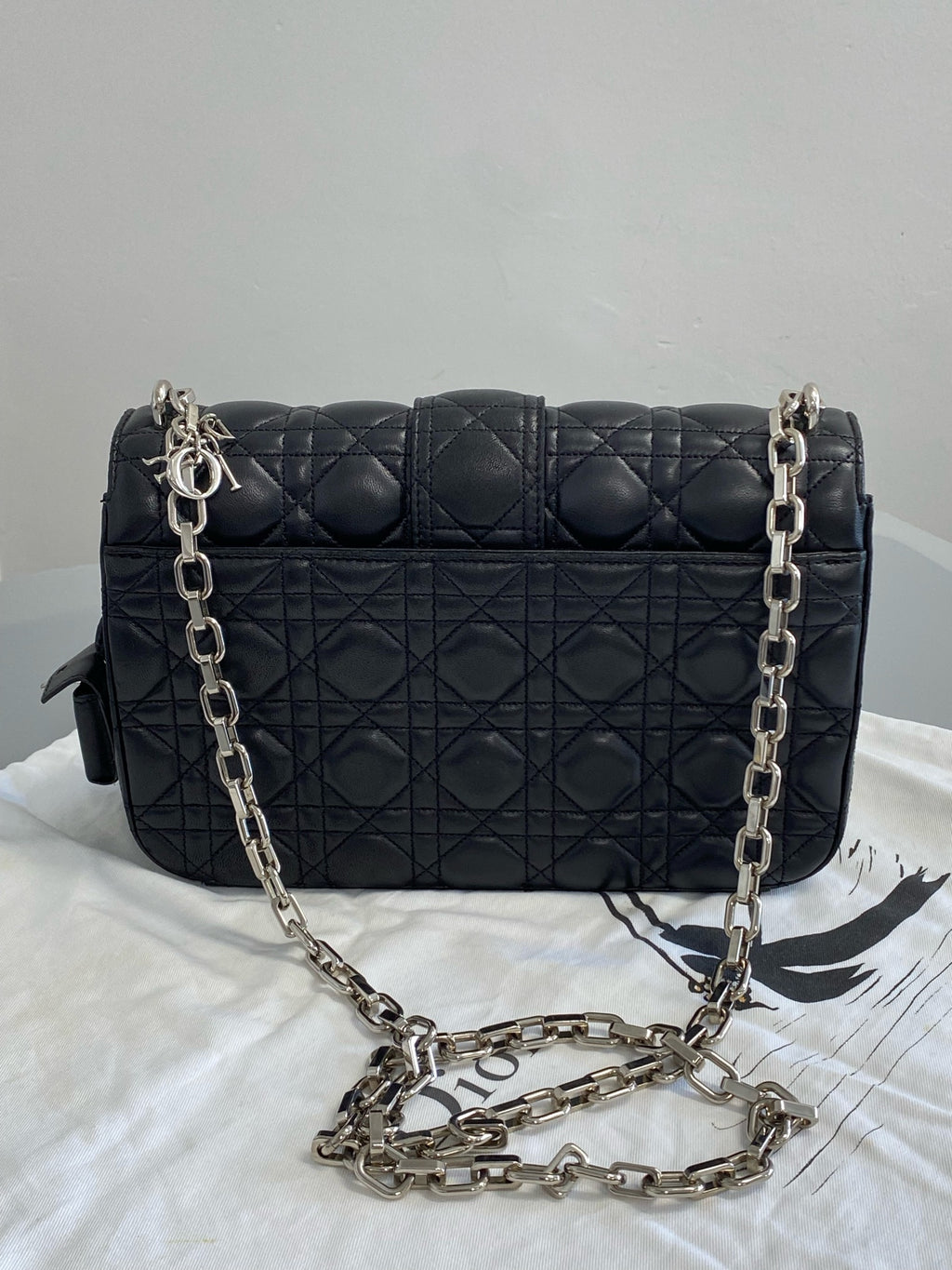Dior Messenger Bag S0231PGAI M900