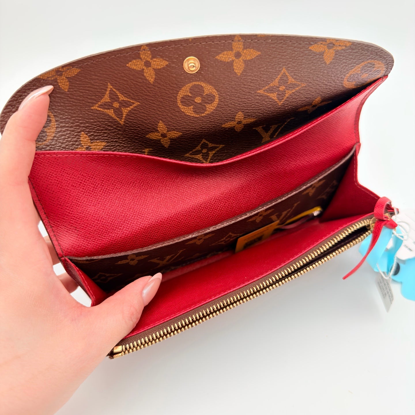 Louis Vuitton Canvas Red