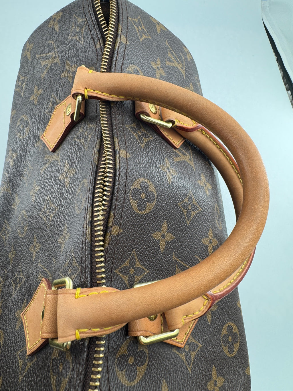 Louis Vuitton Speedy 30 Canvas M41108