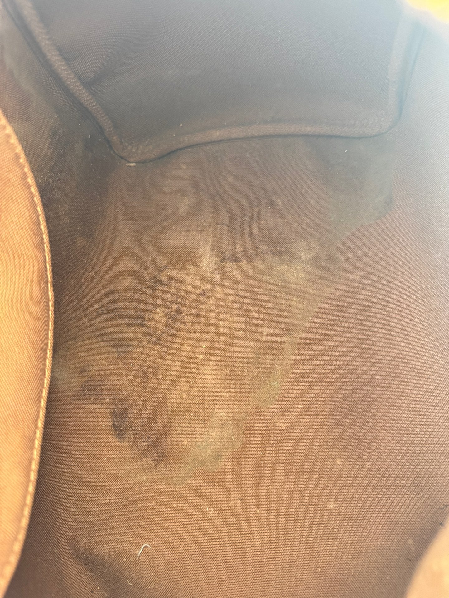 Louis Vuitton Speedy 30 Canvas M41108