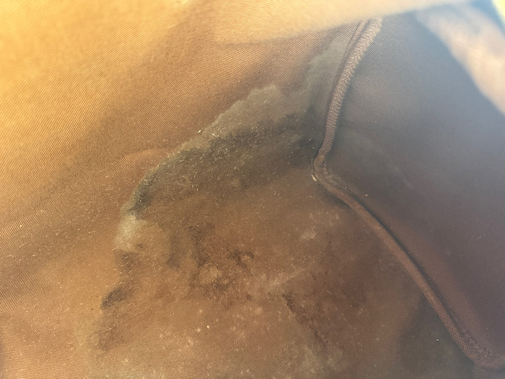 Louis Vuitton Speedy 30 Canvas M41108