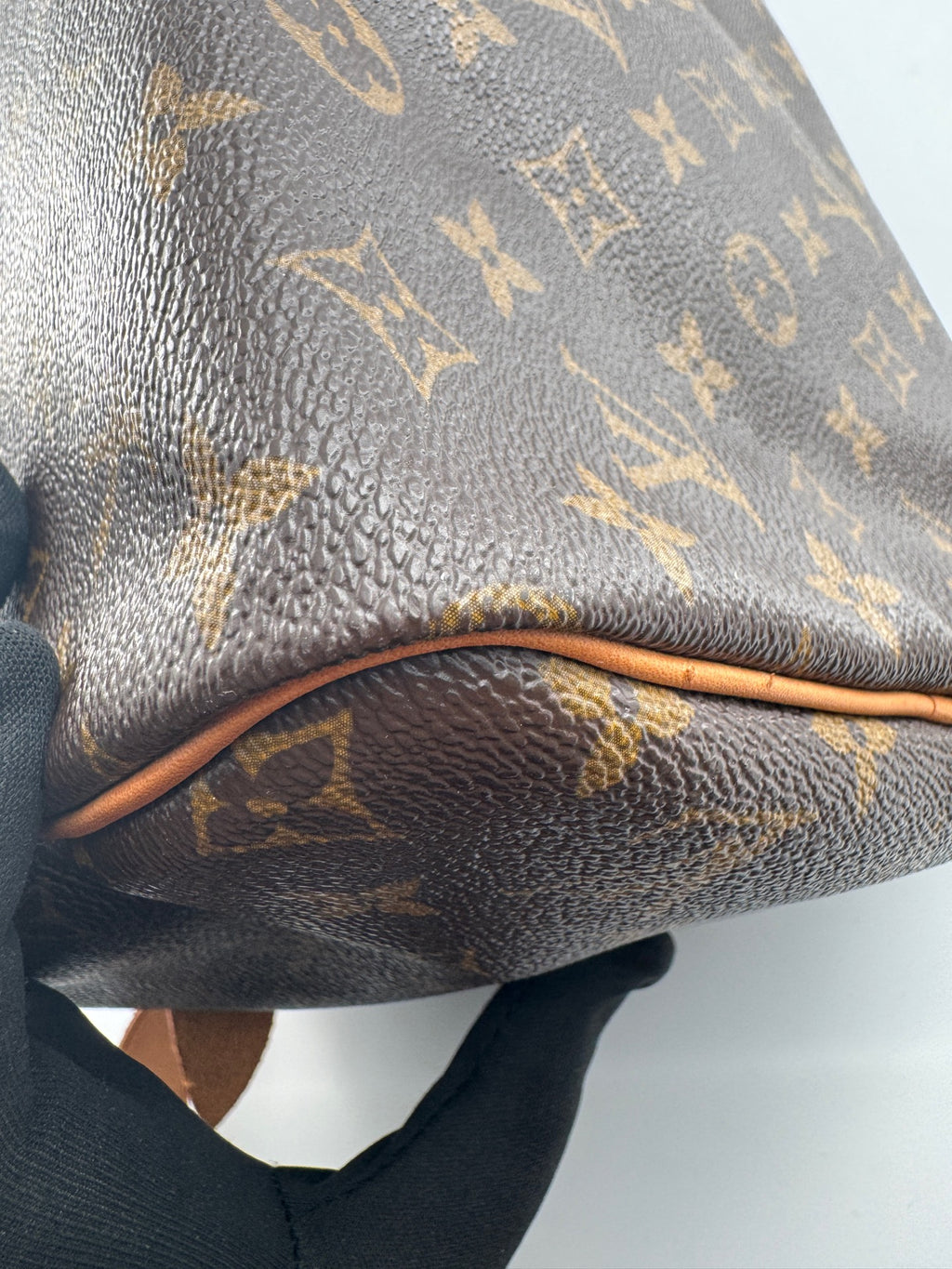 Louis Vuitton Speedy 30 Canvas M41108