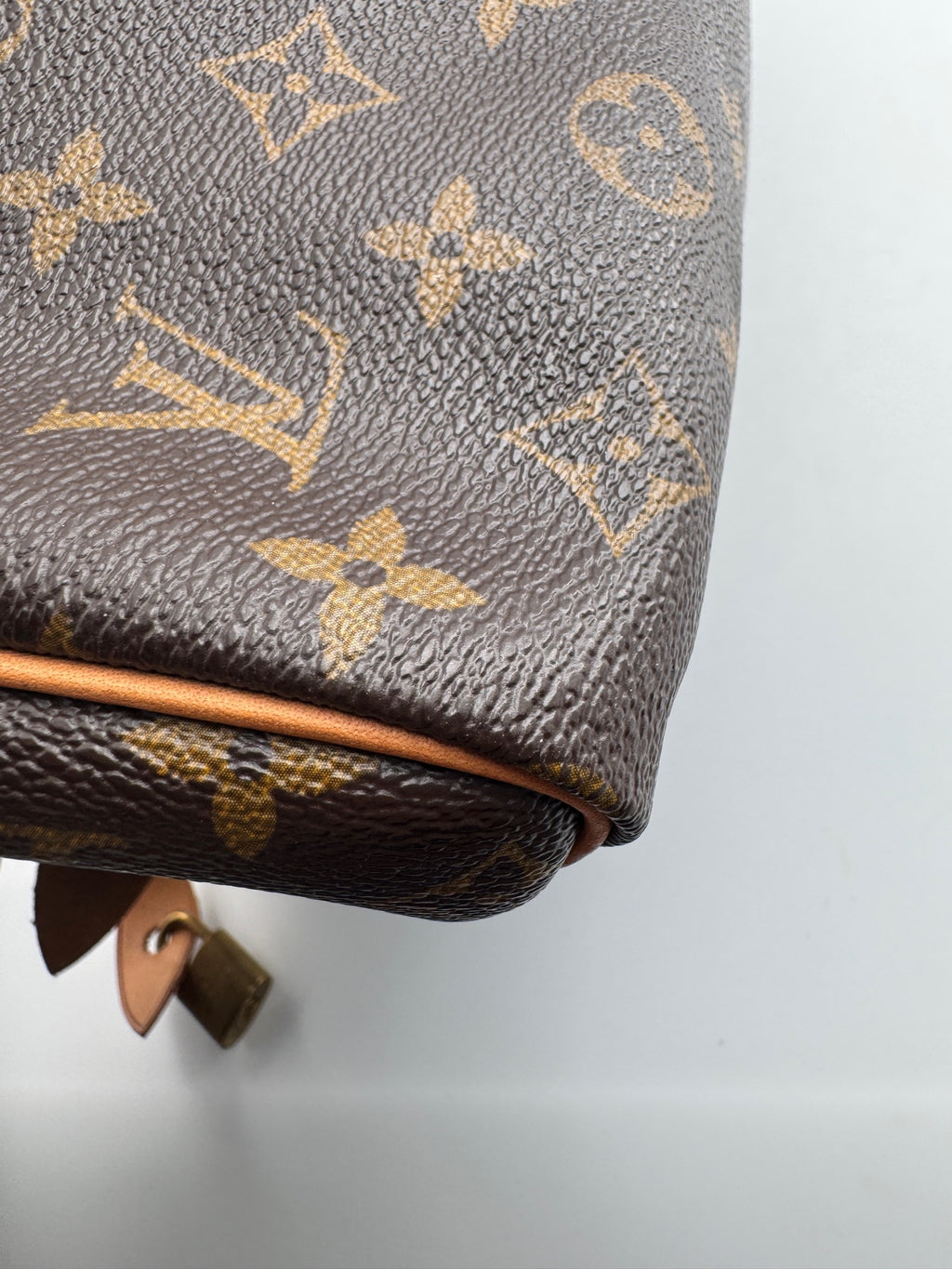 Louis Vuitton Speedy 30 Canvas M41108