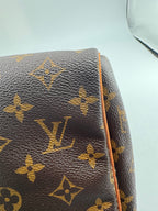 Louis Vuitton Speedy 30 Canvas M41108