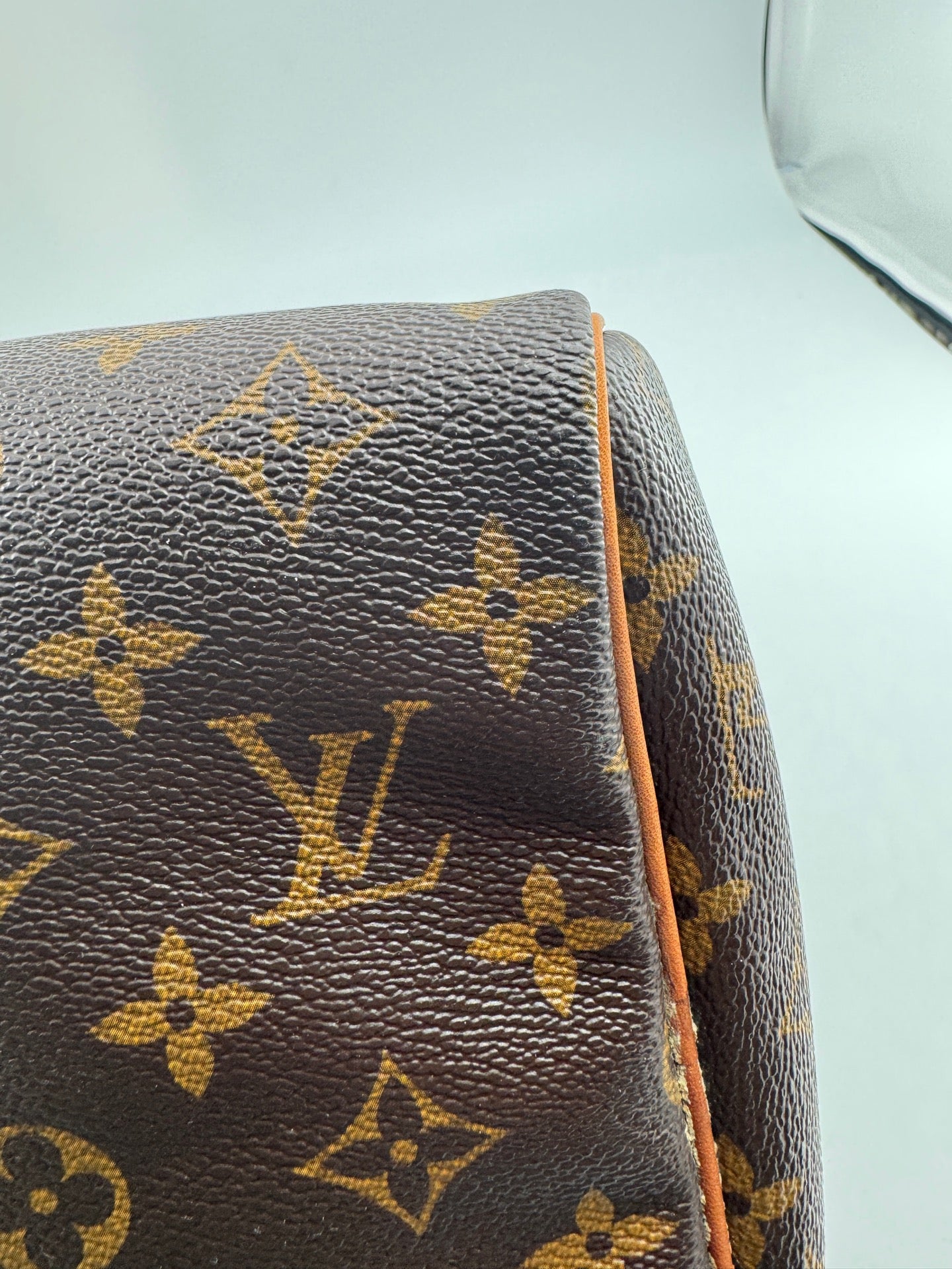 Louis Vuitton Speedy 30 Canvas M41108