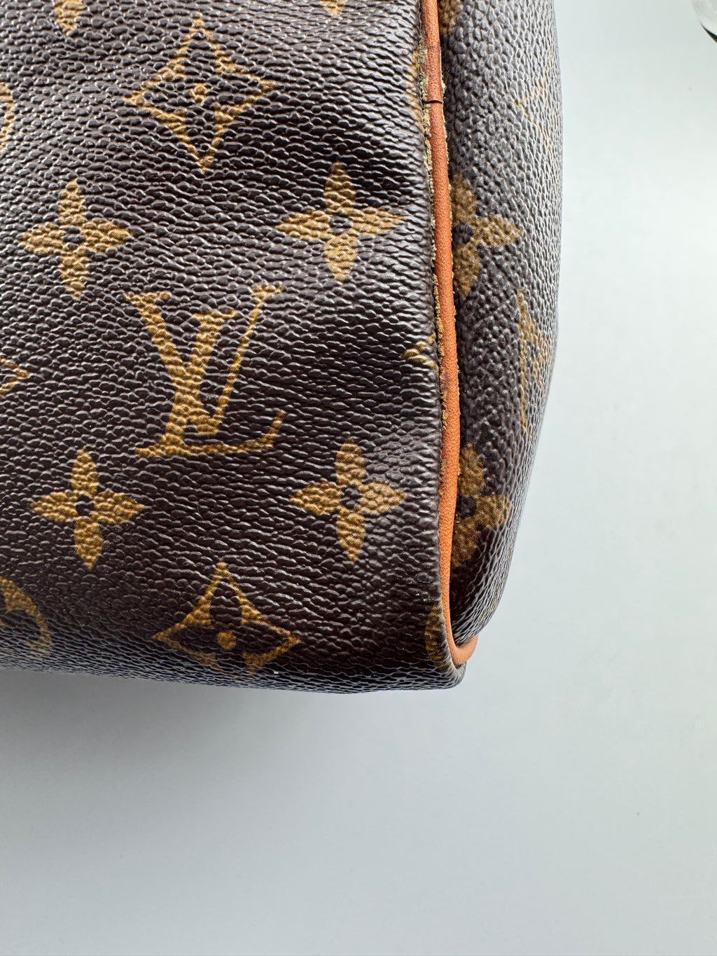 Louis Vuitton Speedy 30 Canvas M41108