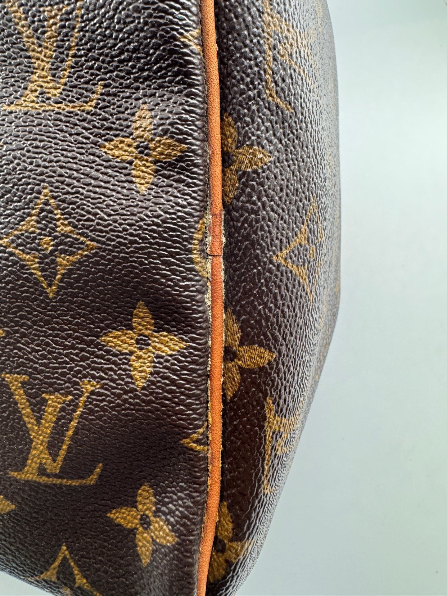 Louis Vuitton Speedy 30 Canvas M41108