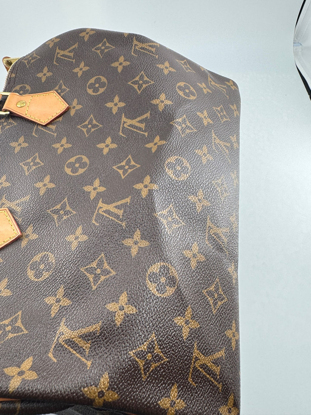 Louis Vuitton Speedy 30 Canvas M41108