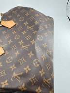 Louis Vuitton Speedy 30 Canvas M41108
