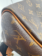Louis Vuitton Speedy 30 Canvas M41108