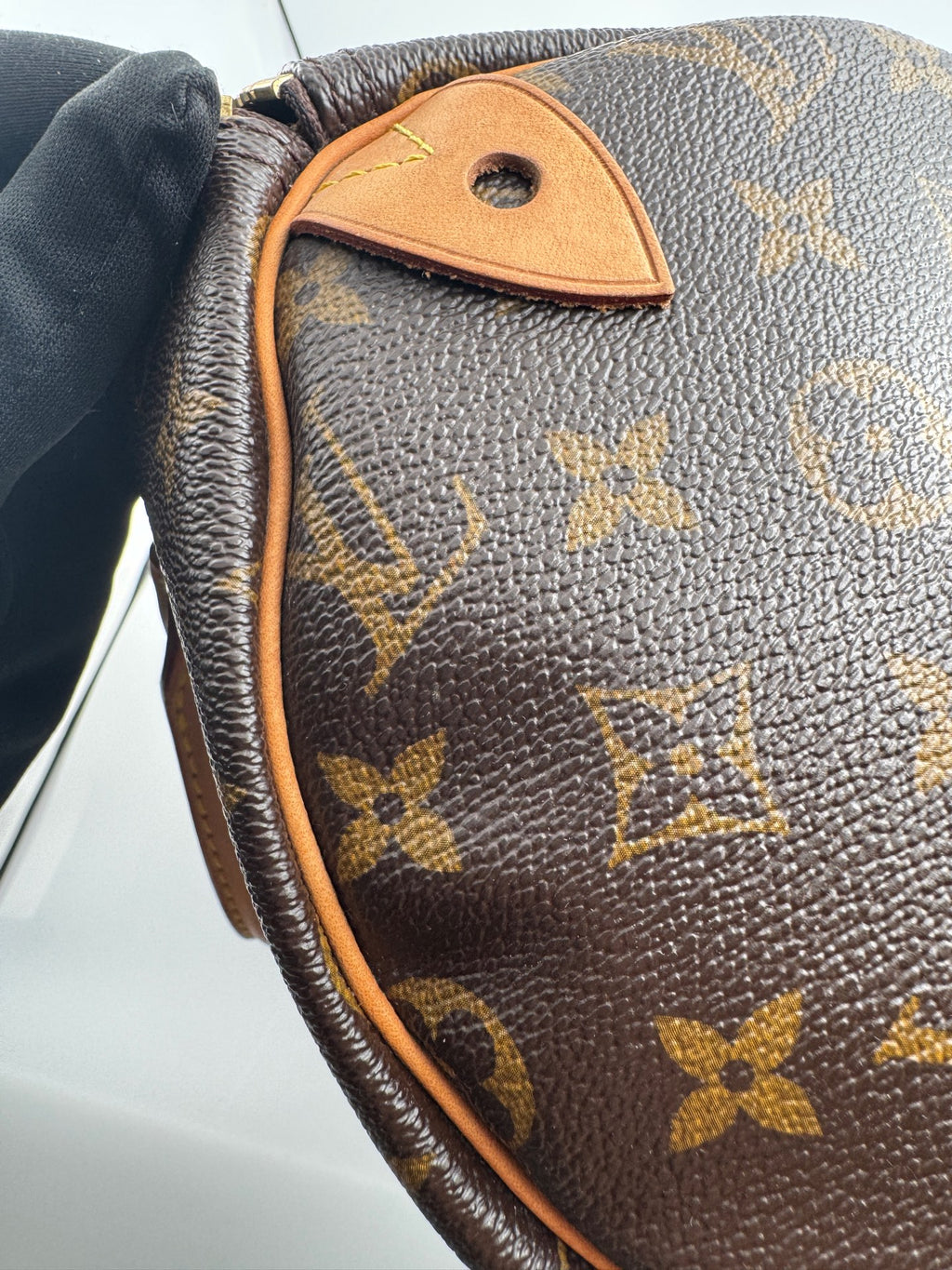 Louis Vuitton Speedy 30 Canvas M41108