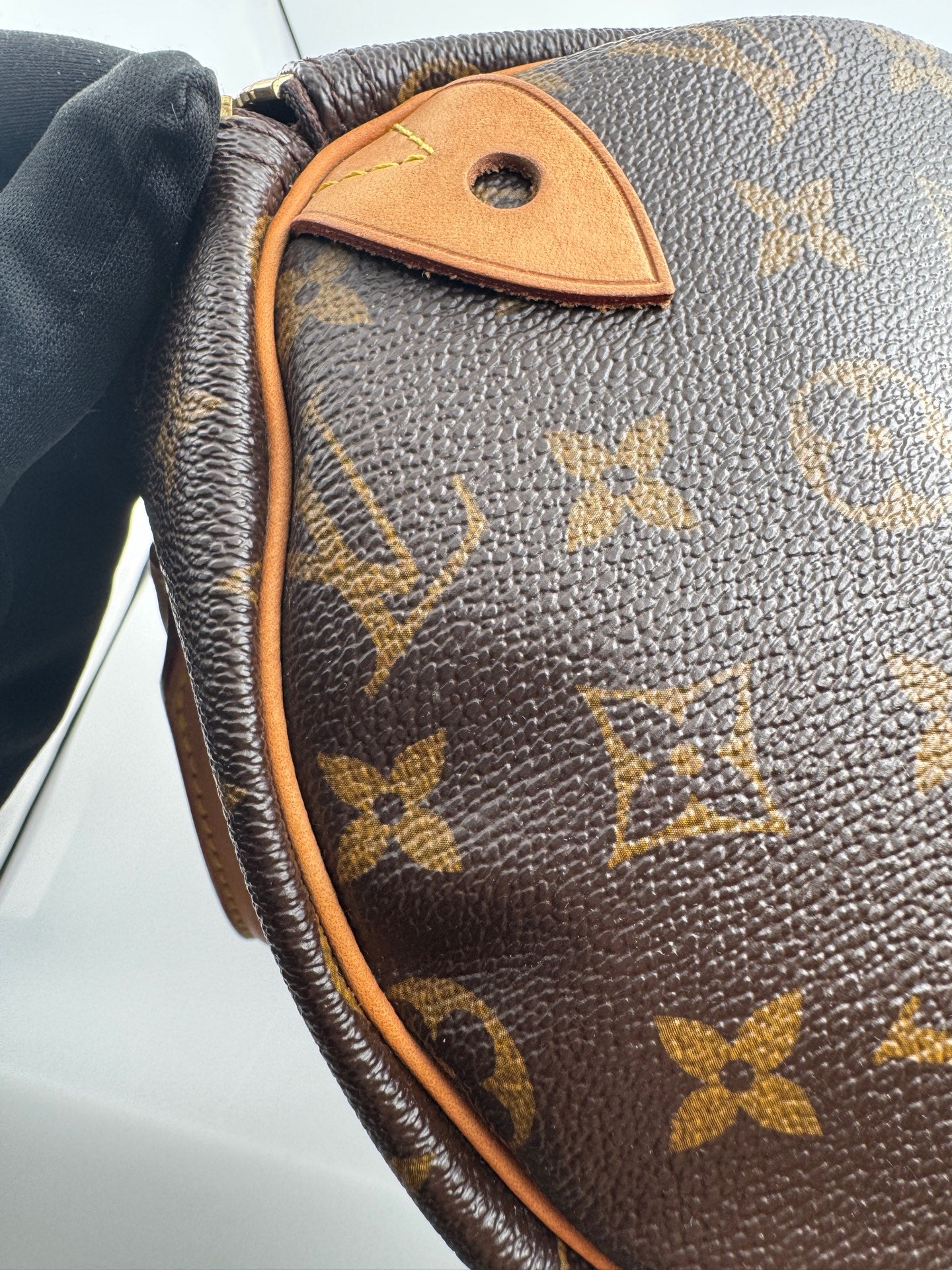 Louis Vuitton Speedy 30 Canvas M41108
