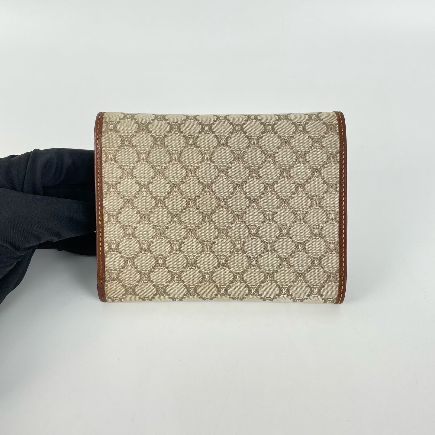 Celine Canvas