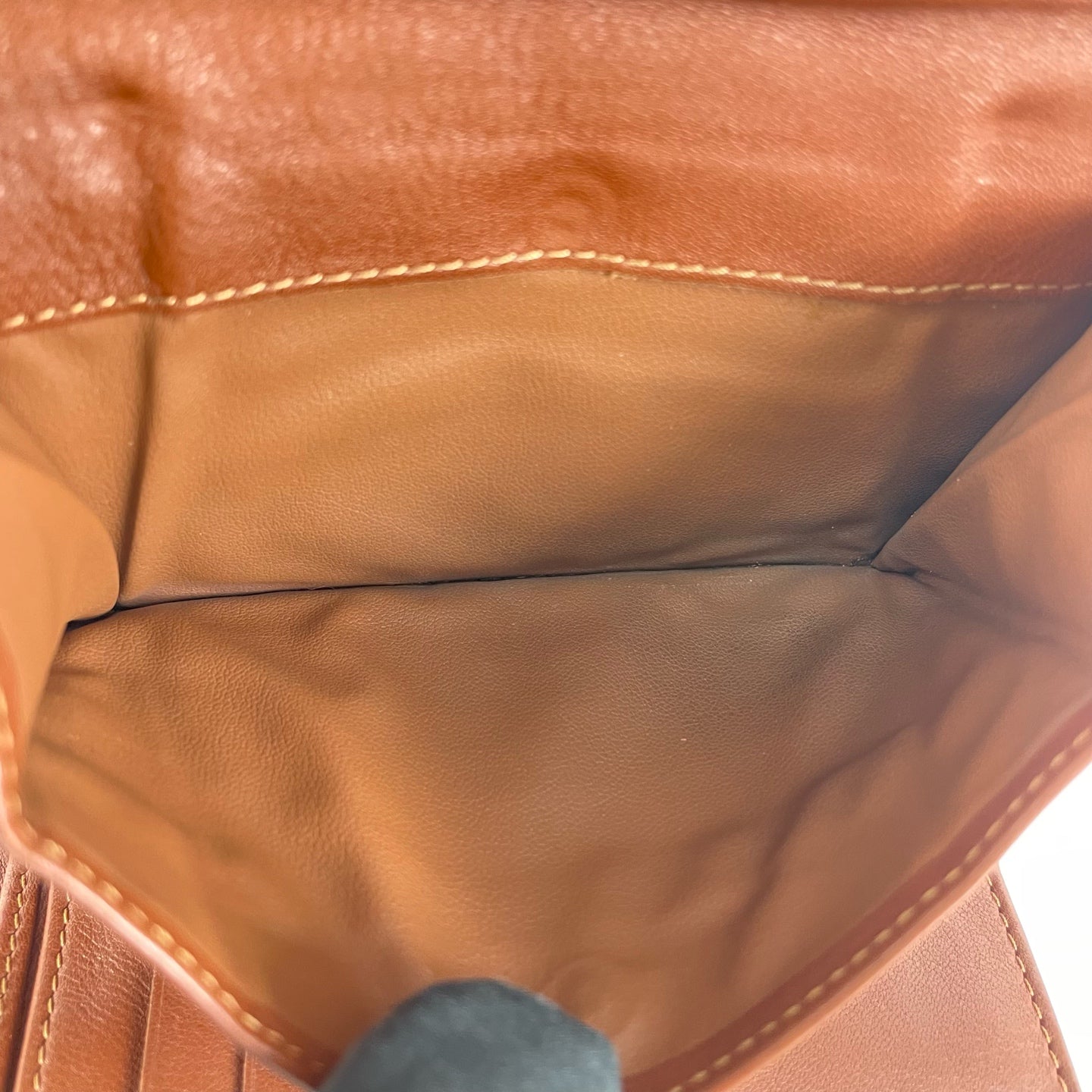 Celine Canvas