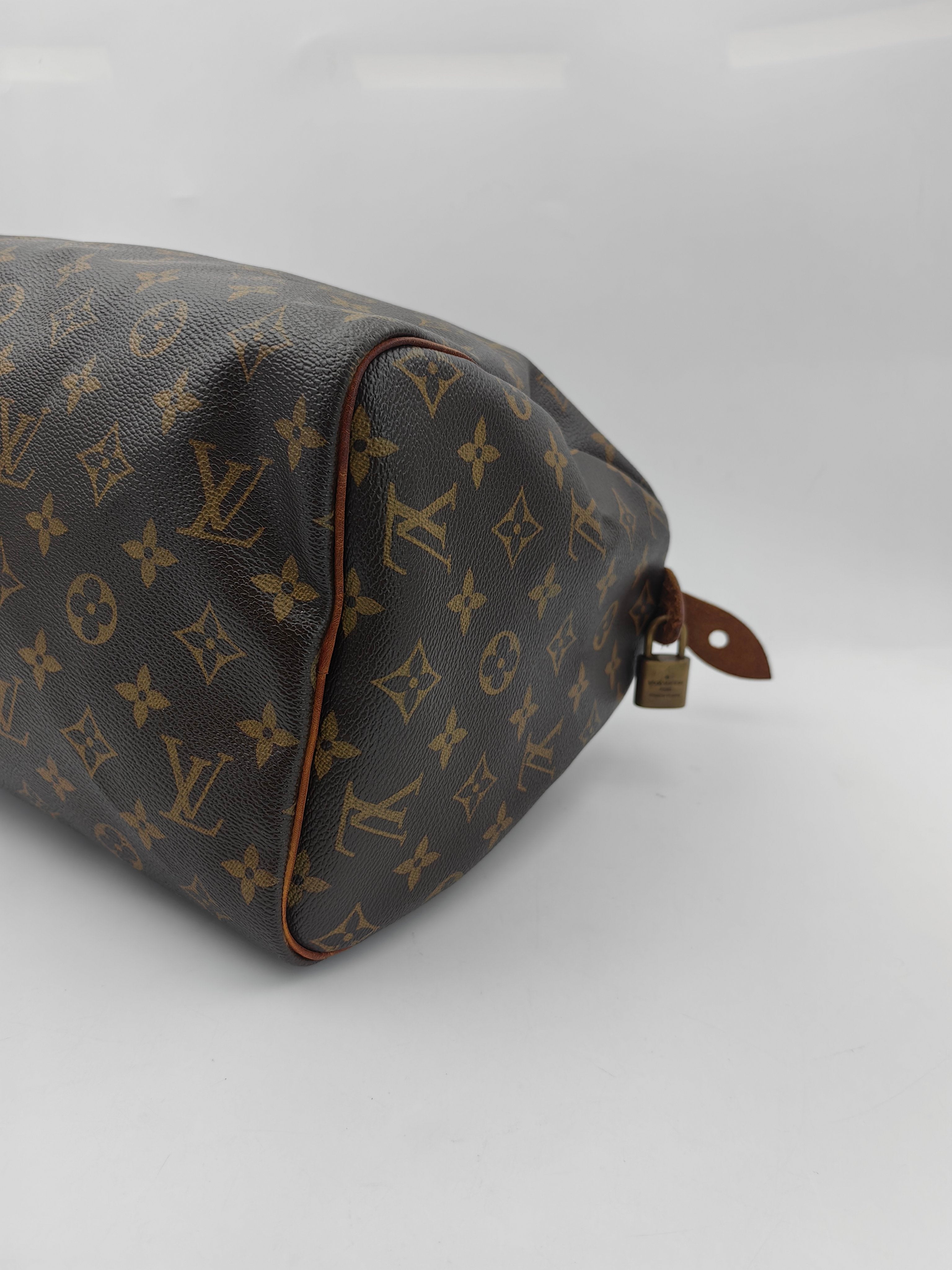 Louis Vuitton Satchel