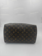 Louis Vuitton Satchel