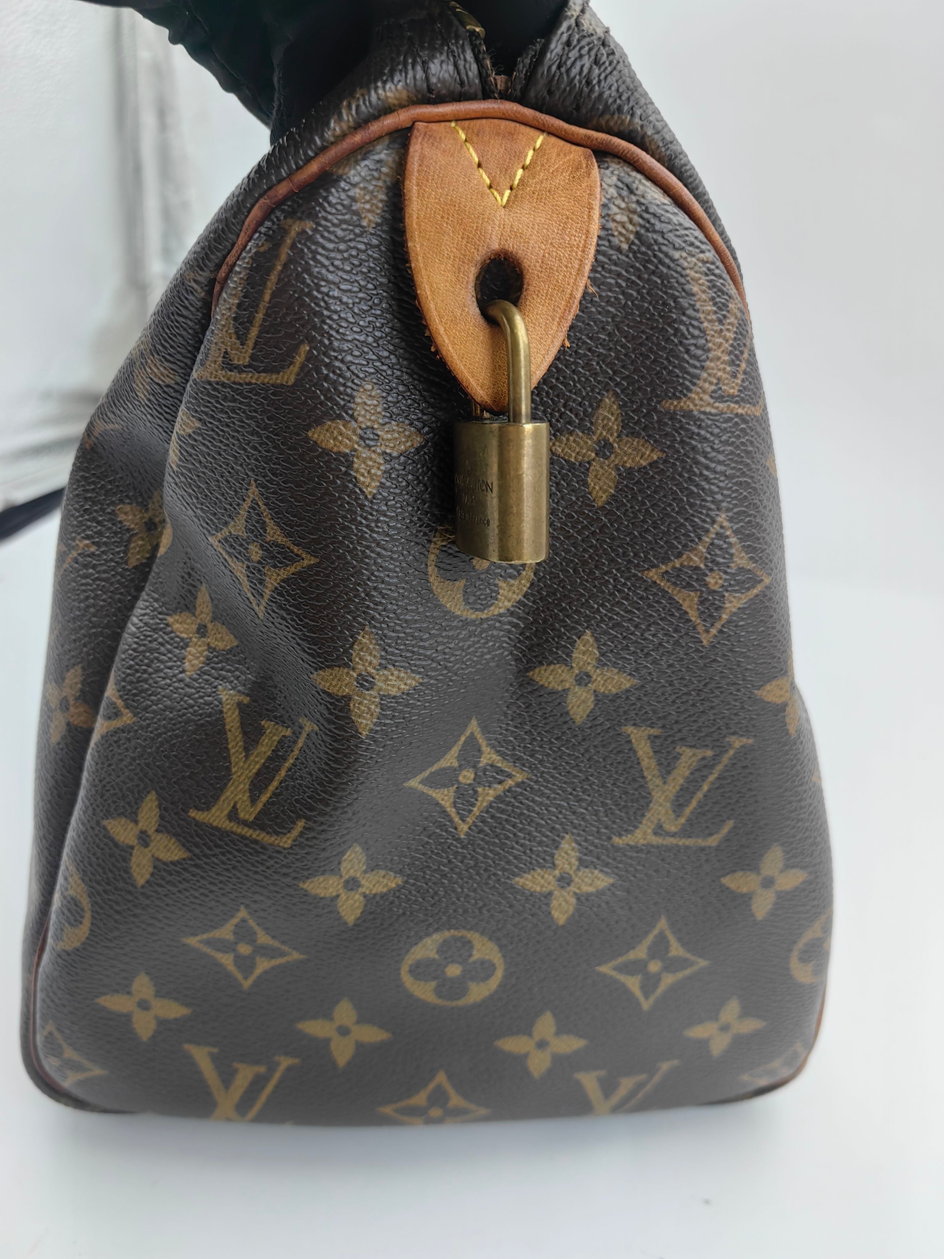 Louis Vuitton Satchel