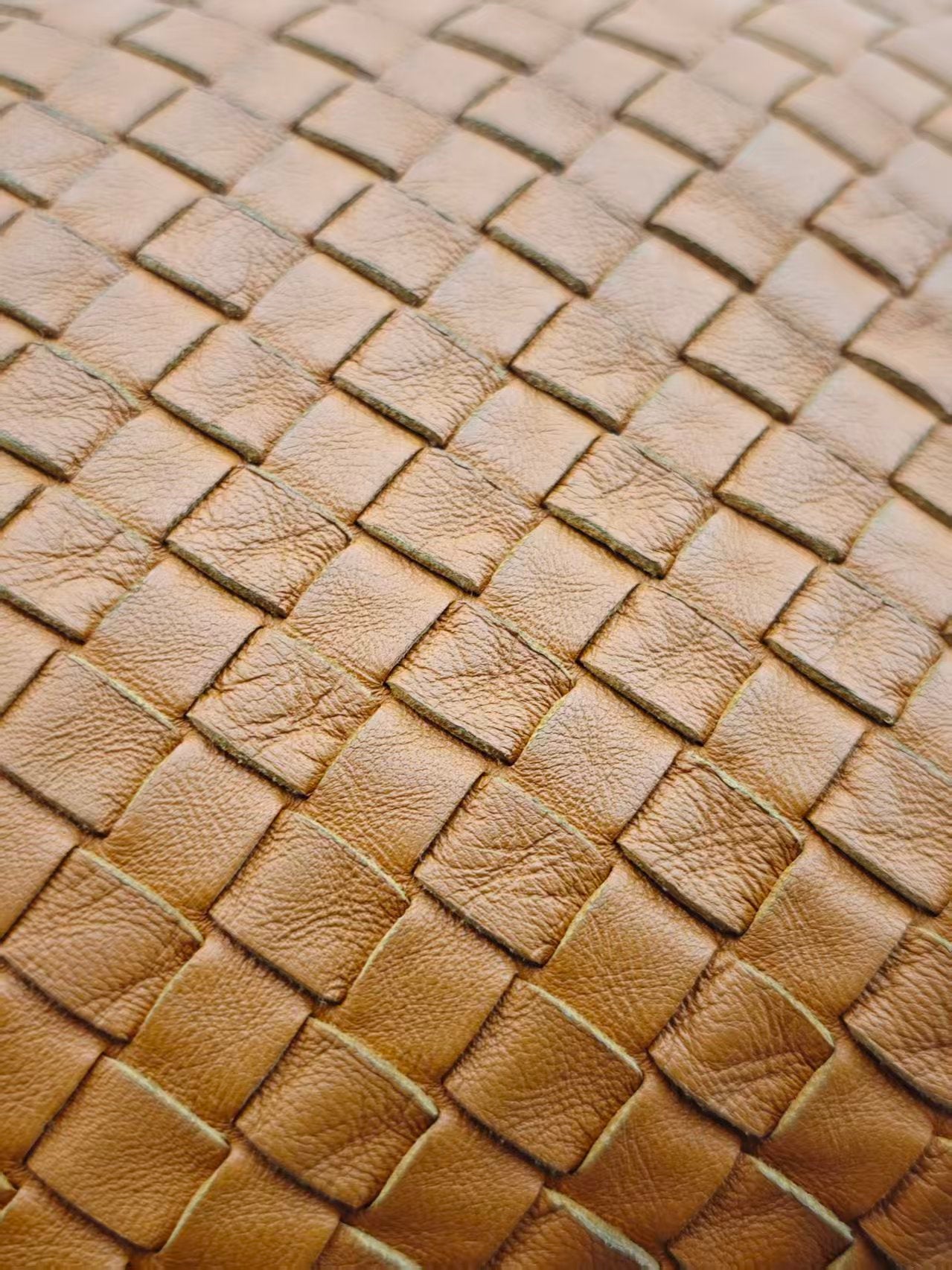 Bottega Veneta Shoulder Bag