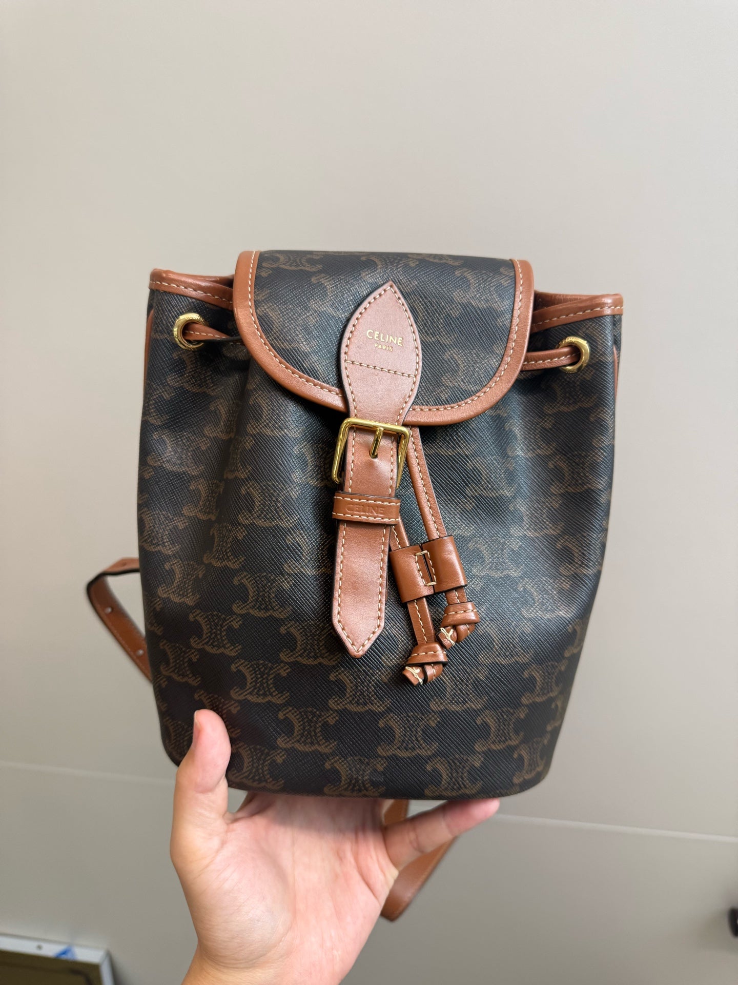 Celine Brown Backpack