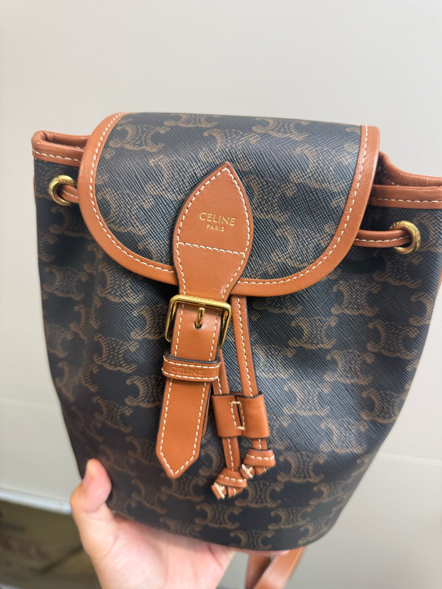 Celine Brown Backpack