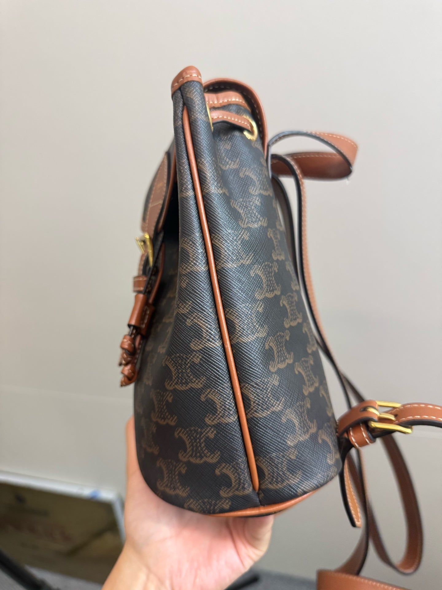 Celine Brown Backpack