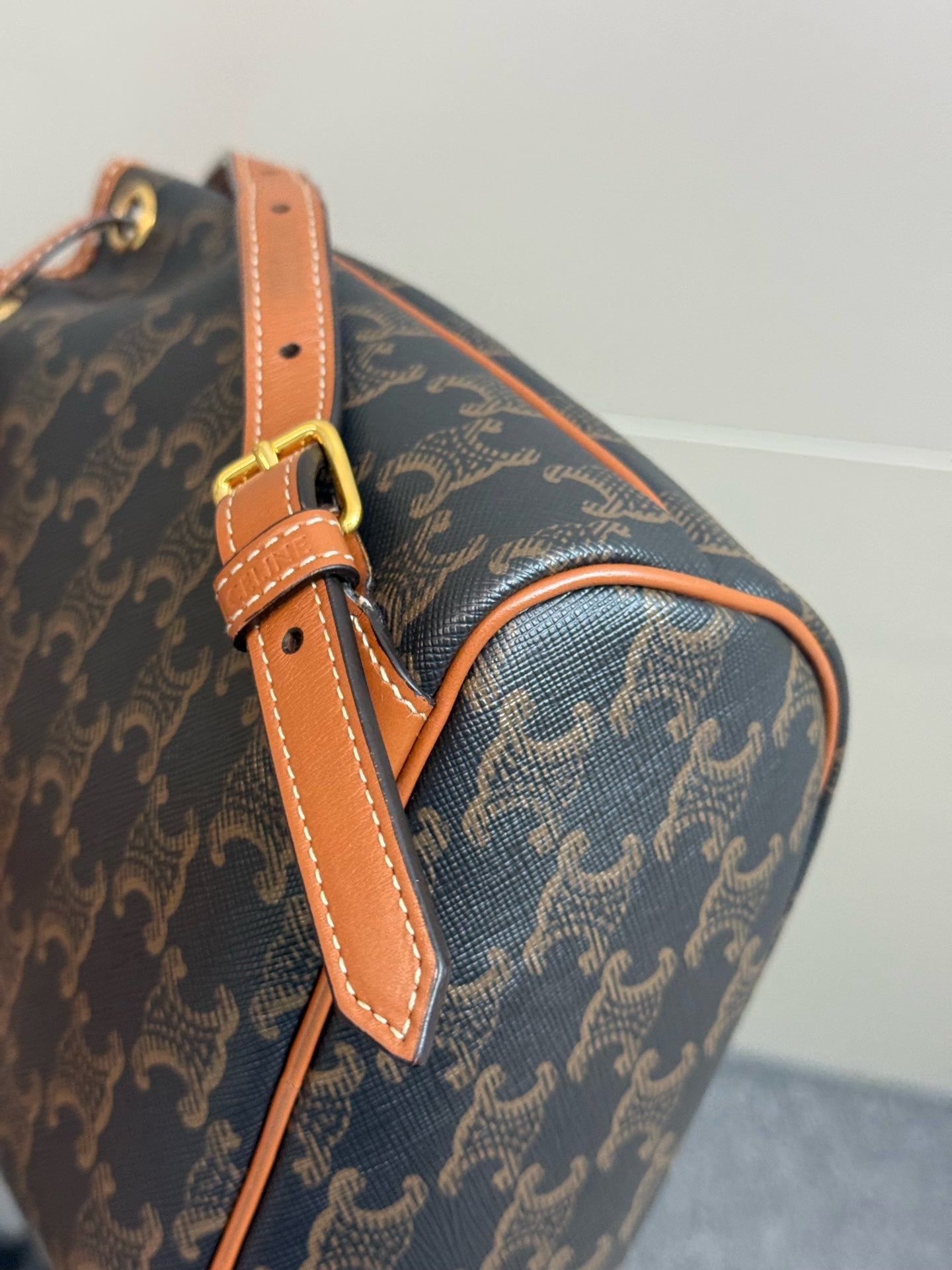 Celine Brown Backpack