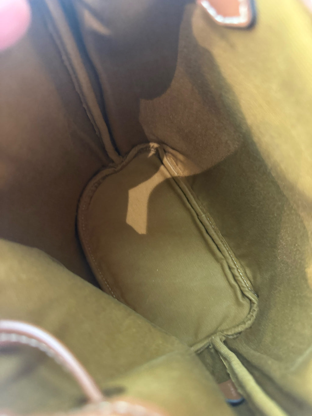 Celine Brown Backpack
