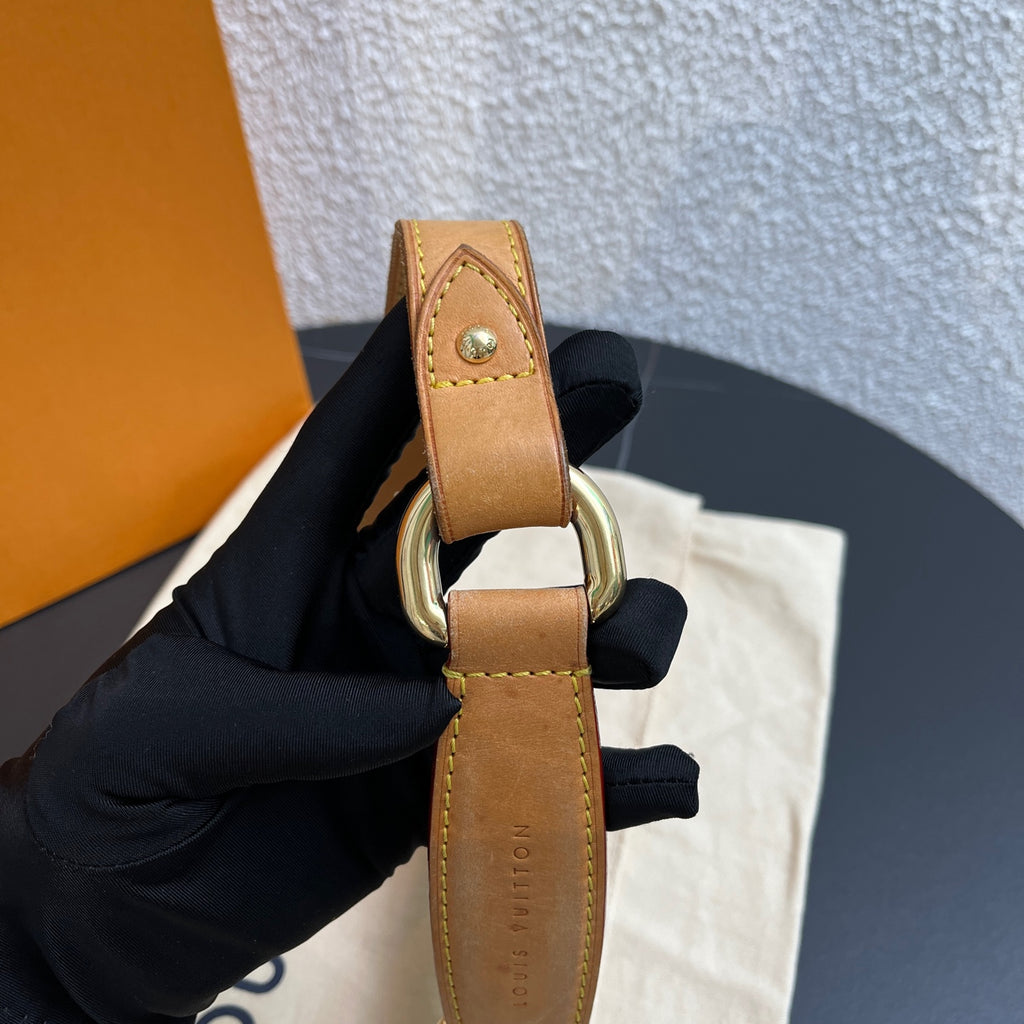 Louis Vuitton Crossbody