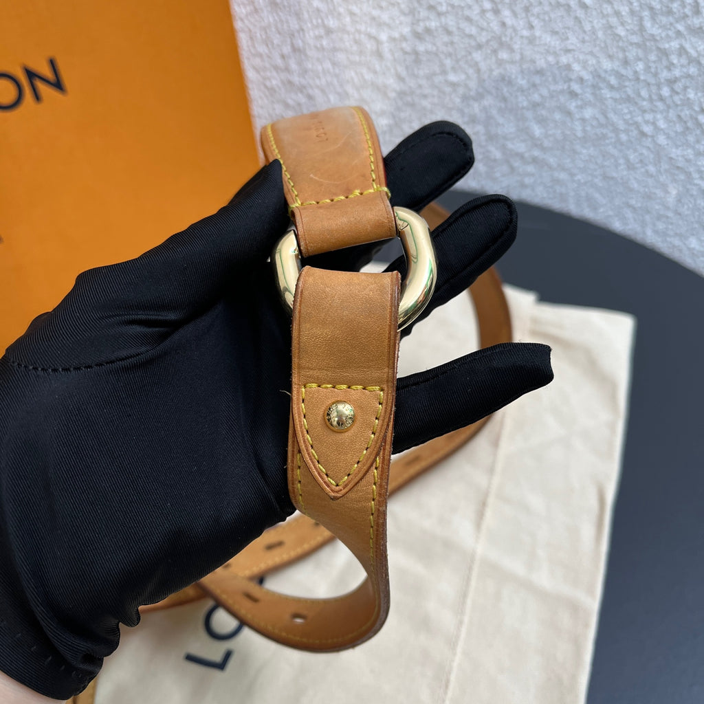 Louis Vuitton Crossbody