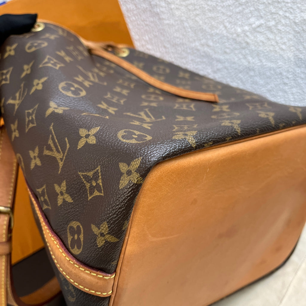 Louis Vuitton Shoulder Bag