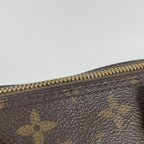 Louis Vuitton Canvas Brown