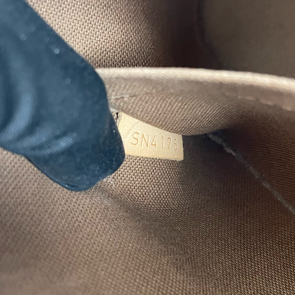 Louis Vuitton Canvas Brown