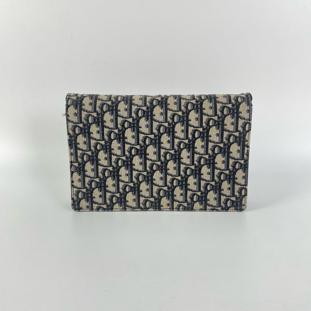 Dior Blue Crossbody
