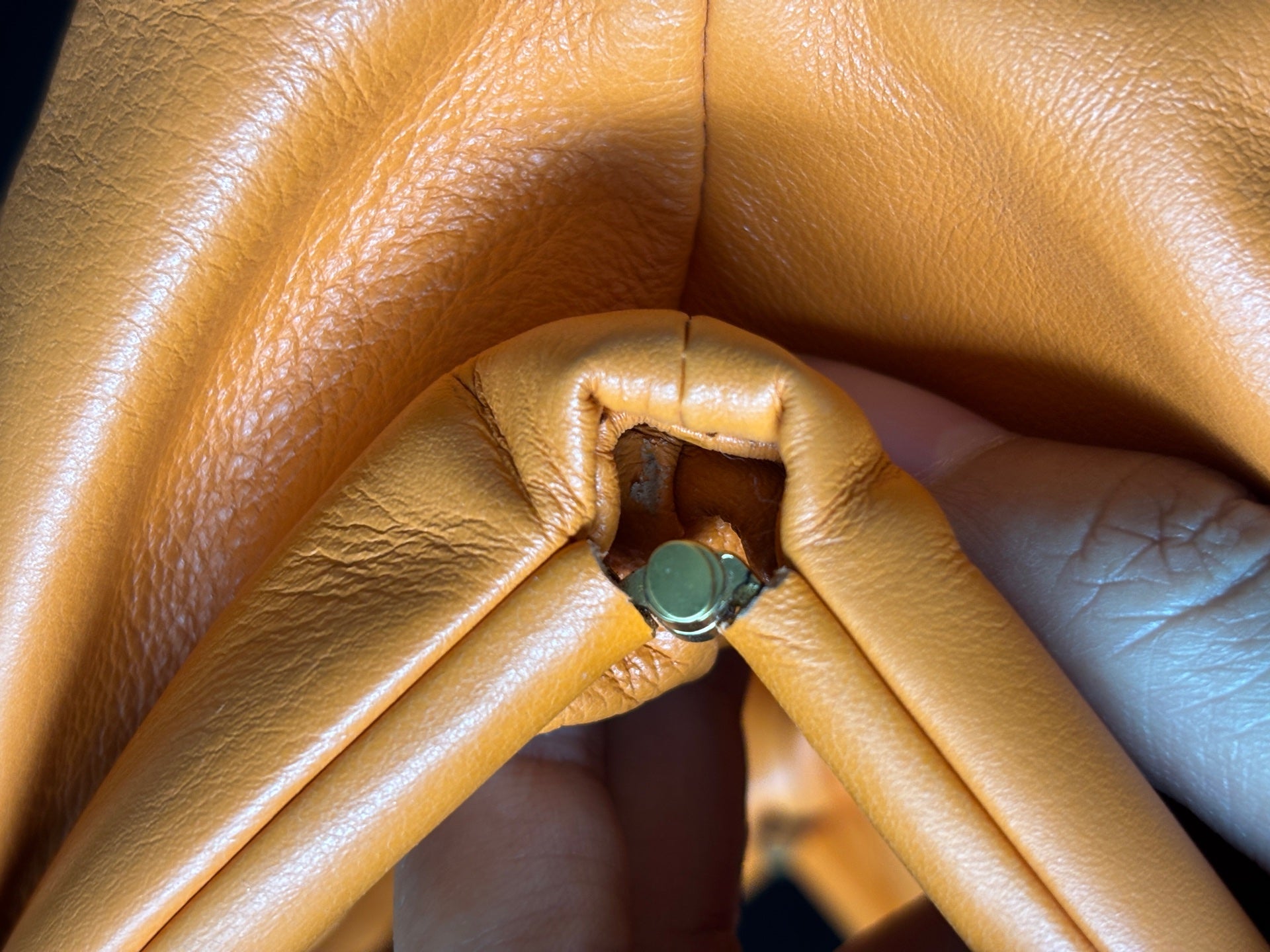 Bottega Veneta Crossbody