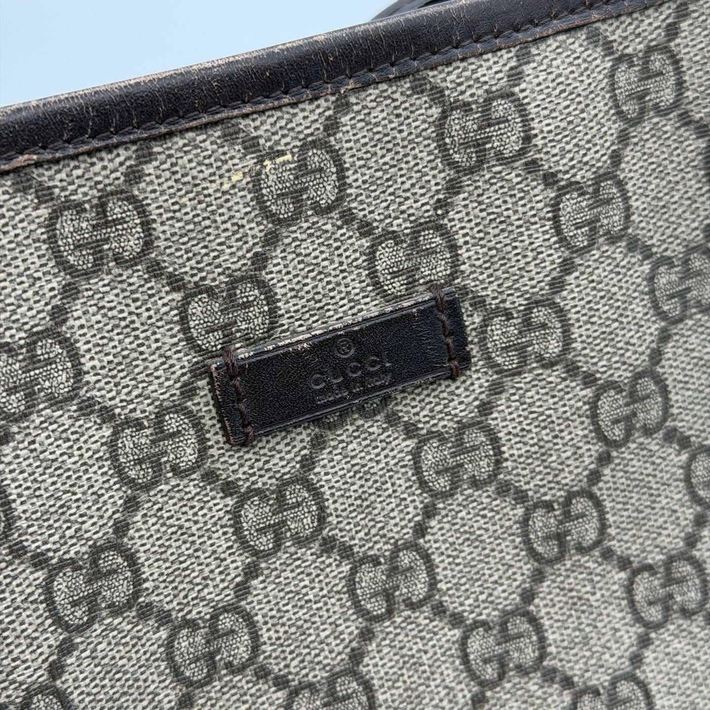 Gucci Canvas Shoulder Bag