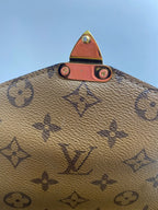 Louis Vuitton Messenger Bag