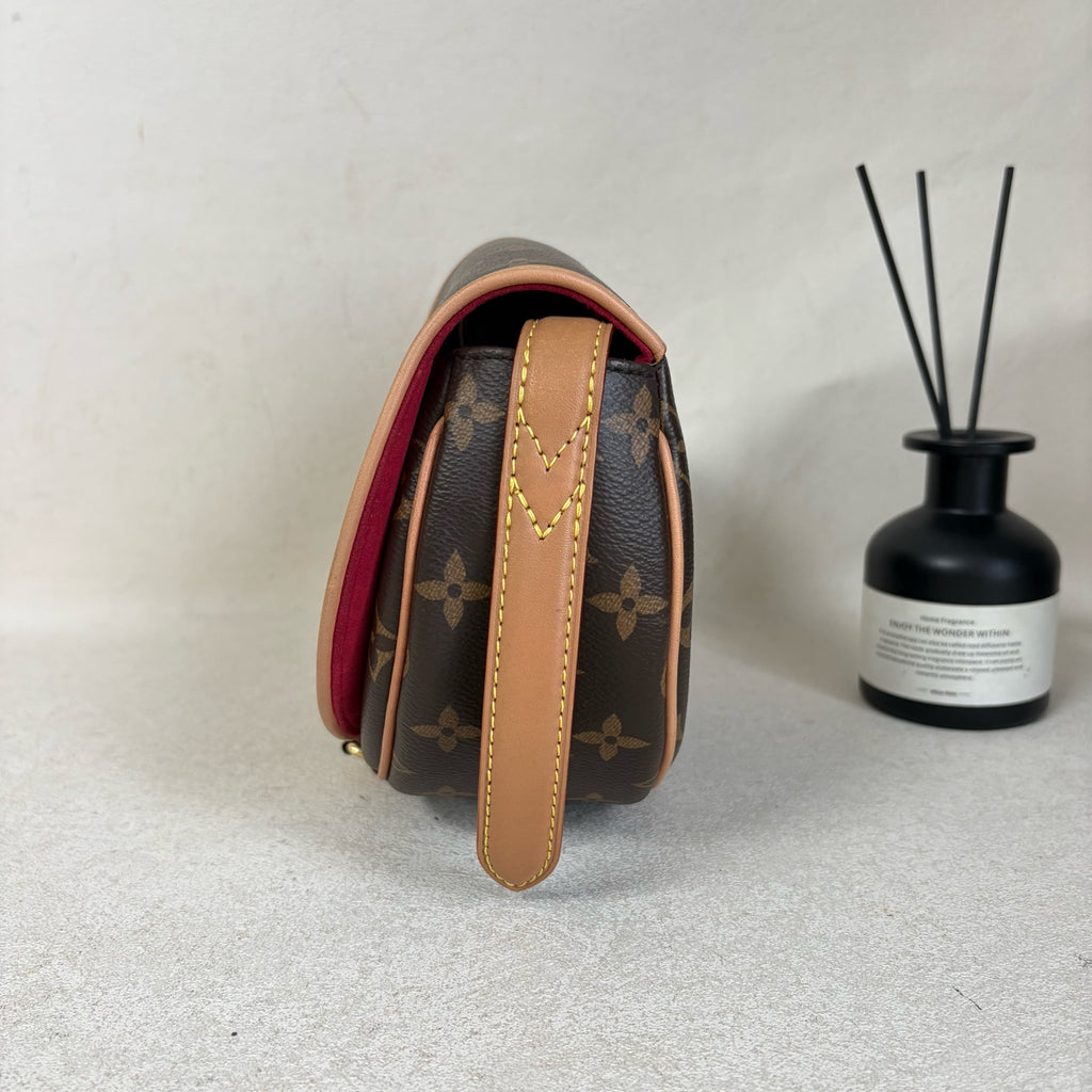 Louis Vuitton Saddle Bag