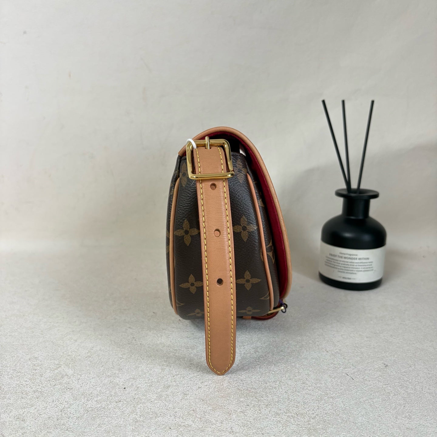Louis Vuitton Saddle Bag