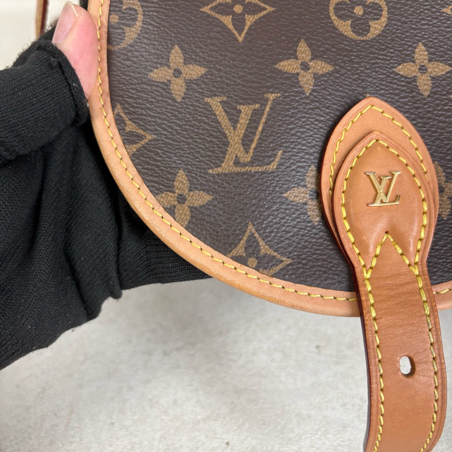 Louis Vuitton Saddle Bag