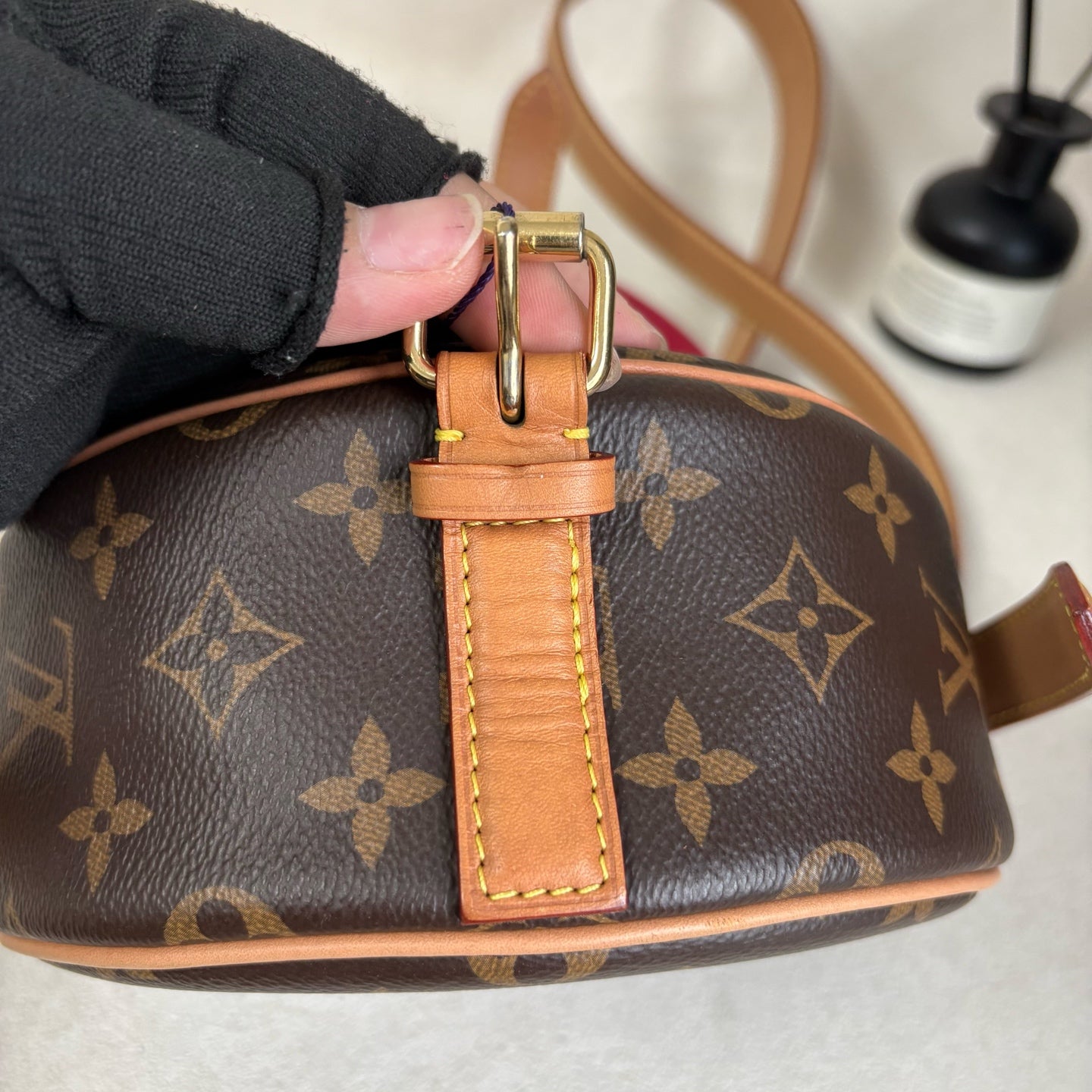 Louis Vuitton Saddle Bag