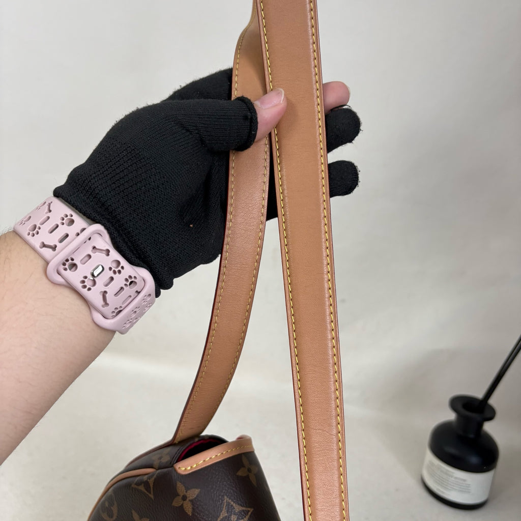 Louis Vuitton Saddle Bag