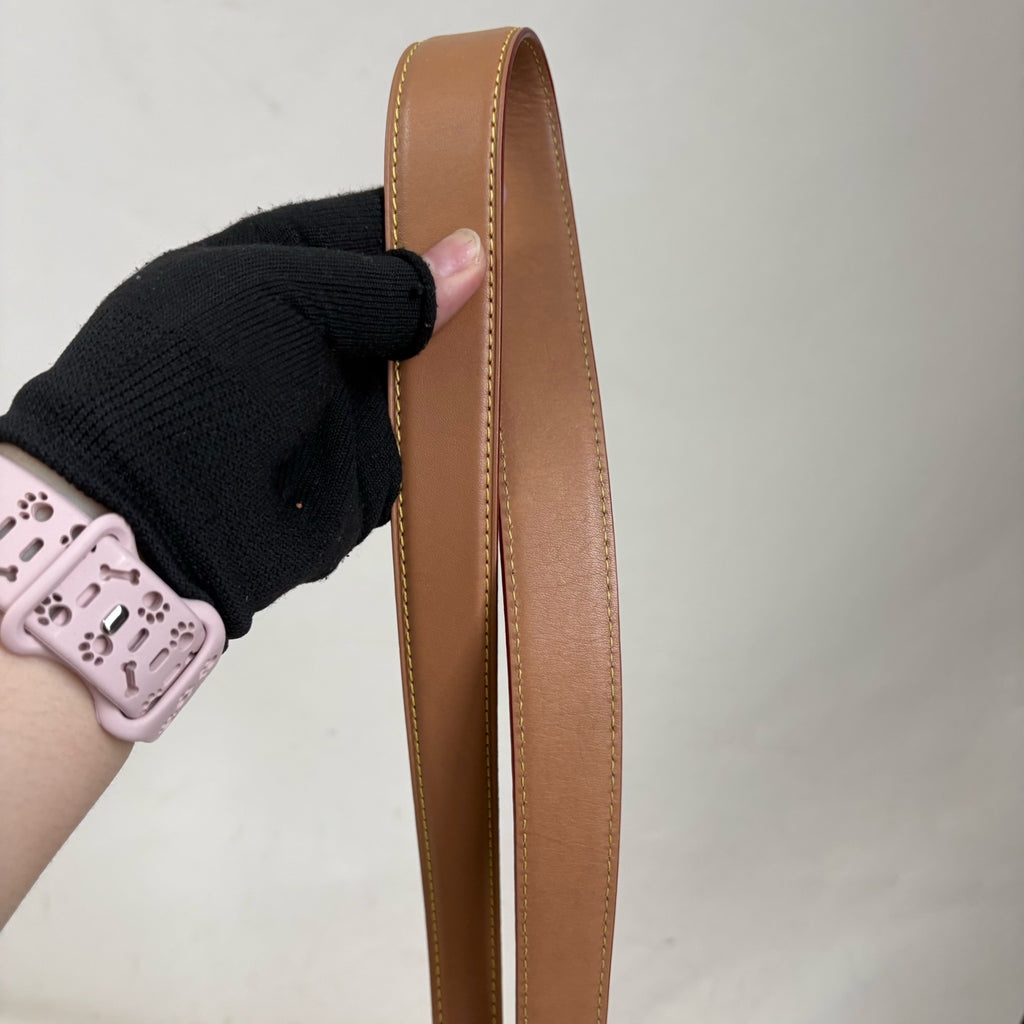 Louis Vuitton Saddle Bag