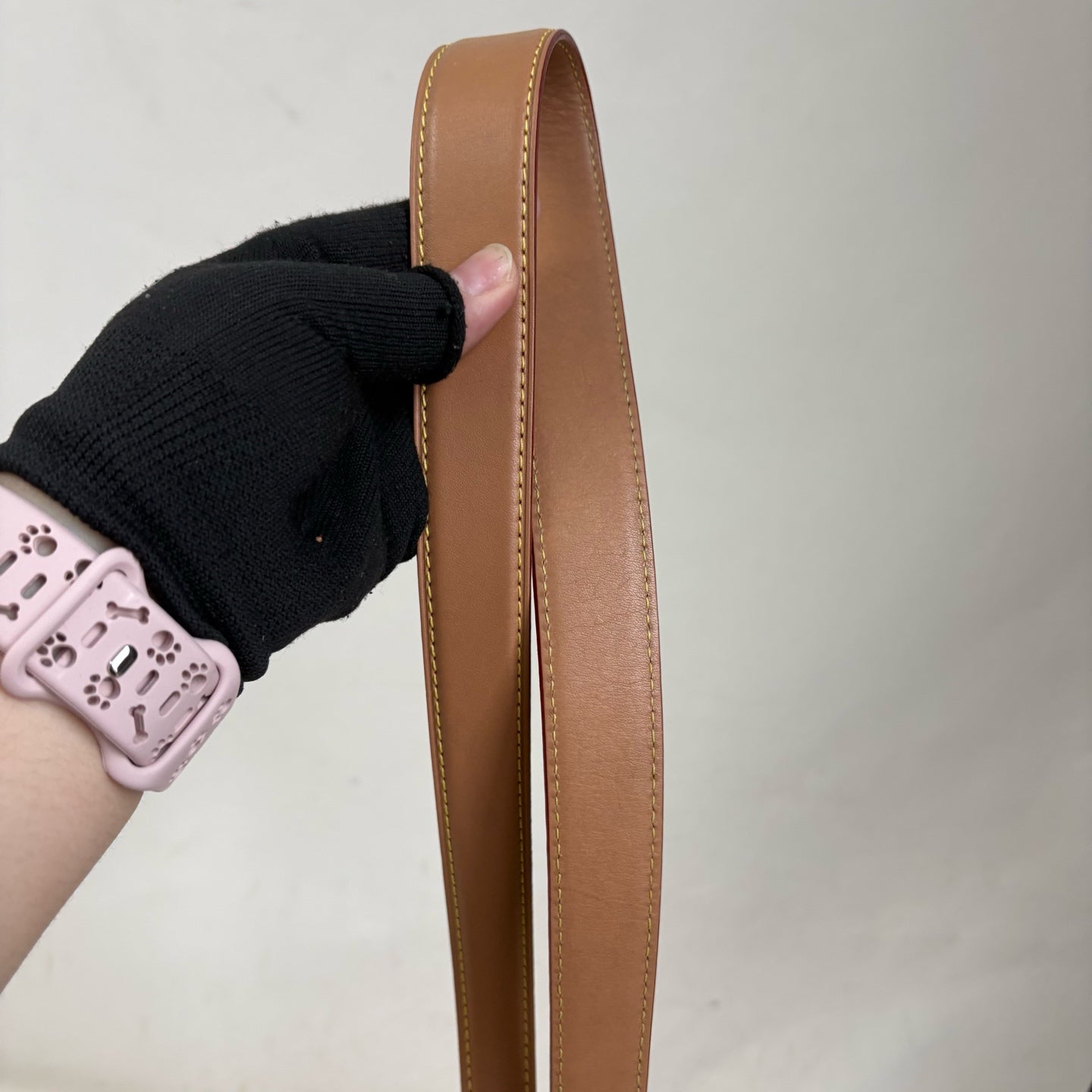 Louis Vuitton Saddle Bag