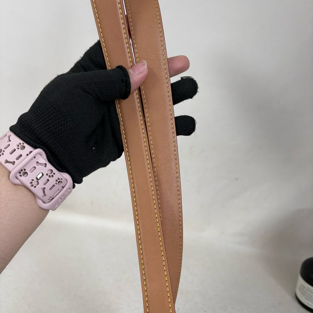 Louis Vuitton Saddle Bag